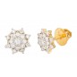 Magnificently Stunning Diamond Earrings
