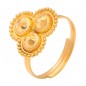 Engrossing Gold Foot Ring