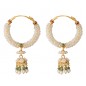 Chand Bali Gold Pearl Earrings